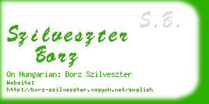 szilveszter borz business card